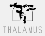Thalamus